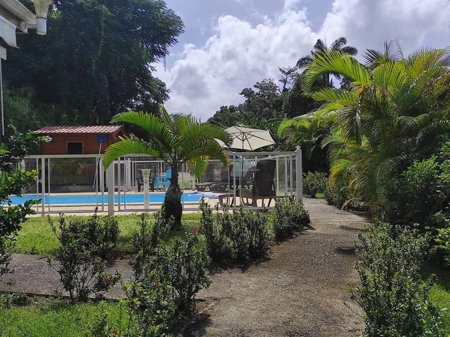 Le Tri Haut De Bellevue - Bungalow Heliconia Pointe-Noire Eksteriør billede